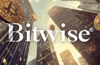 bitwise-cio-says-market-is-‘not-bullish-enough’-amid-rising-political-endorsements