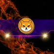 shiba-inu-(shib)-sees-60%-monthly-drop-in-burn-rate:-reason-to-worry?