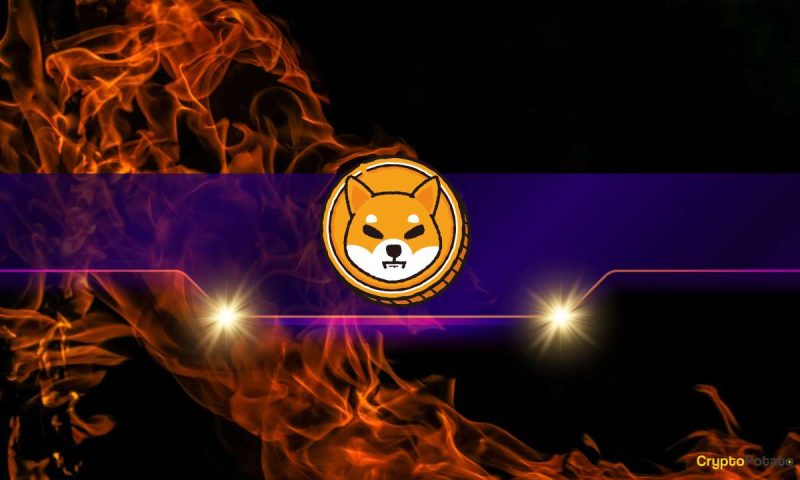 shiba-inu-(shib)-sees-60%-monthly-drop-in-burn-rate:-reason-to-worry?