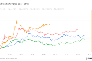 bitcoin’s-price-evolution-post-halving:-examining-five-distinct-epochs