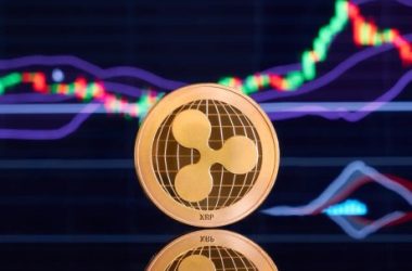 can-xrp-rally-1,000x-despite-the-drop-below-$0.6?