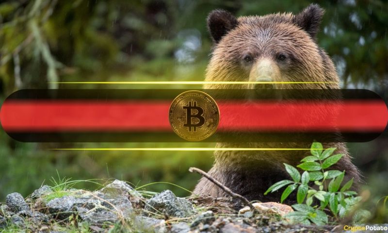 to-lose-$17,000-in-a-week:-bitcoin-plunges-to-5-month-lows-at-$53,000