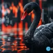 bitcoin-falls-below-$50,000:-is-a-black-swan-coming-to-the-crypto-market?