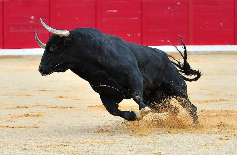 europe’s-fourth-largest-hedge-fund-discloses-$500m-in-spot-bitcoin-etfs