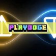 notcoin-among-top-gainers-as-crypto-prices-recover,-playdoge-raises-$6m-for-new-p2e-project