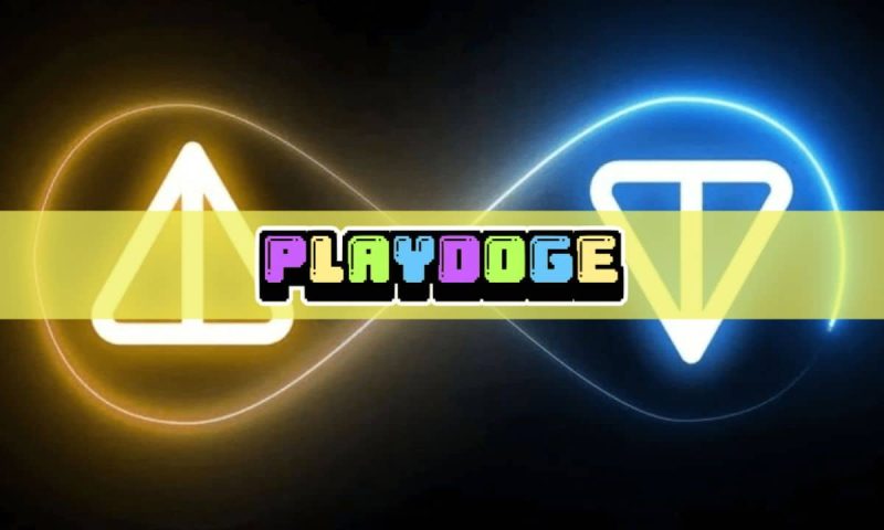 notcoin-among-top-gainers-as-crypto-prices-recover,-playdoge-raises-$6m-for-new-p2e-project