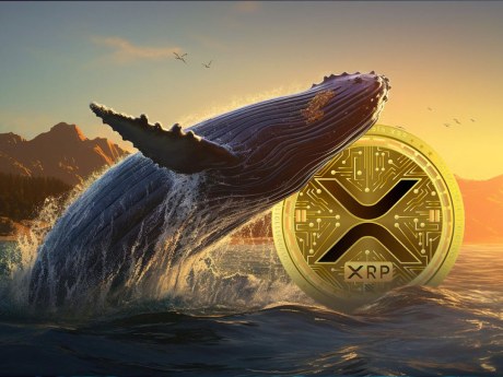 xrp-whales-take-advantage-of-20%-drop-to-buy-millions-worth-of-tokens