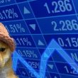 dogwifhat-price-rebound-and-dtx-token-presale-catch-investors’-attention
