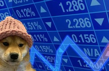 dogwifhat-price-rebound-and-dtx-token-presale-catch-investors’-attention