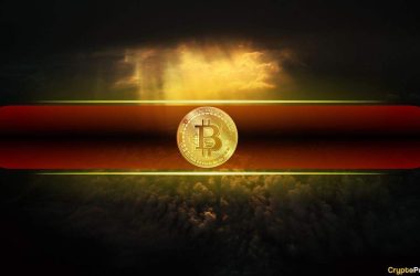 bitcoin’s-$20k-drawdown-in-august-leaves-short-term-holders-reeling