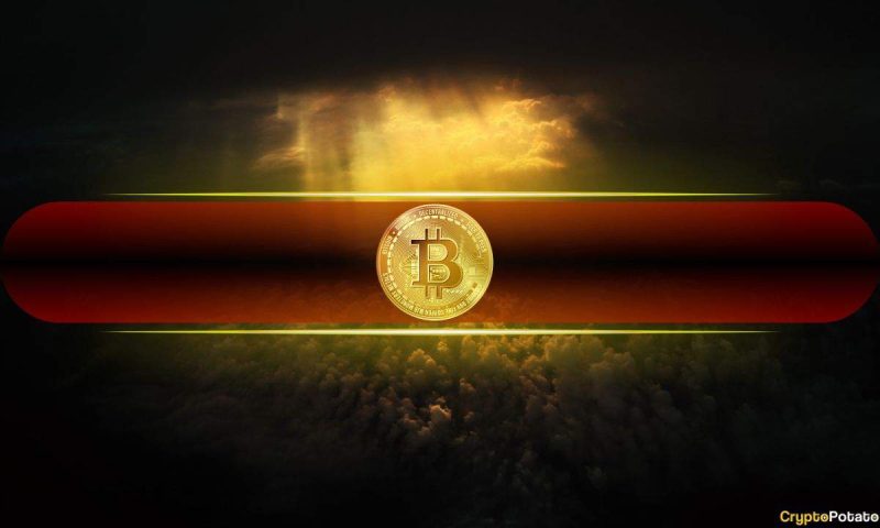 bitcoin’s-$20k-drawdown-in-august-leaves-short-term-holders-reeling