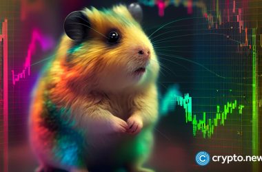 hamster-kombat-team-reveals,-how-to-earn-even-more-inside-the-game