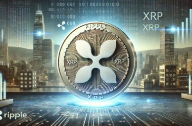 ripple-vs.-sec-lawsuit-ends:-will-the-xrp-price-cross-$3-once-more?