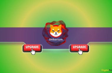 important-shiba-inu-(shib)-update