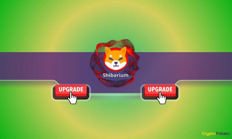 important-shiba-inu-(shib)-update