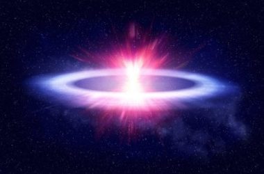 xrp-market-cap-explodes-by-23%-in-a-day-as-whale-appetite-soars