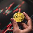 dogecoin-major-metrics-fire-bullish-signals,-can-price-cross-$0.5