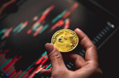 dogecoin-major-metrics-fire-bullish-signals,-can-price-cross-$0.5