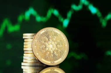 cardano-eyes-$0.3389:-can-bulls-sustain-ada-above-this-critical-level?