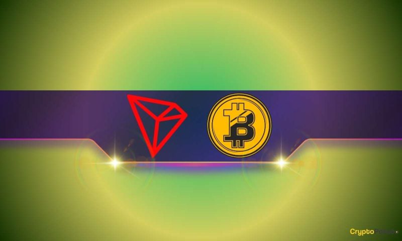 these-are-the-leading-cryptocurrencies-with-the-most-profitable-holders:-details
