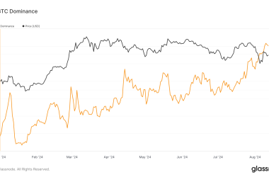 bitcoin’s-market-dominance-shows-stable-upward-trend-in-2024-despite-market-volatility