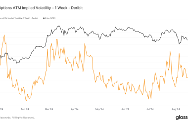 heightened-bitcoin-volatility-post-halving-reflects-speculative-trading-trends