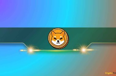 the-most-unexpected-shiba-inu-whale-with-55-billion-in-shib