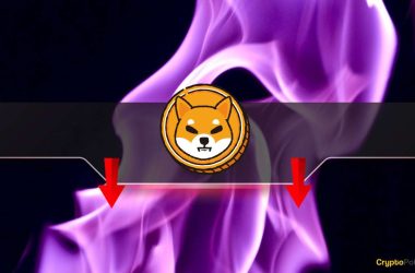 shiba-inu-burn-rate-plummets-by-90%:-is-the-shib-price-in-danger?