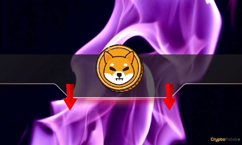 shiba-inu-burn-rate-plummets-by-90%:-is-the-shib-price-in-danger?