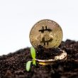bitfarms-agrees-to-buy-stronghold-digital-for-$175m-in-stock-and-debt