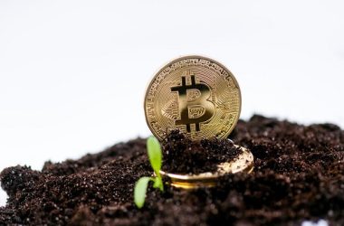 bitfarms-agrees-to-buy-stronghold-digital-for-$175m-in-stock-and-debt