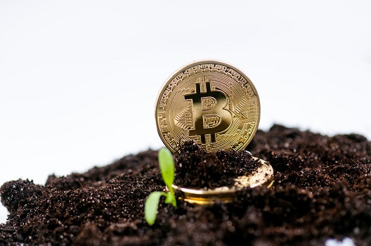bitfarms-agrees-to-buy-stronghold-digital-for-$175m-in-stock-and-debt