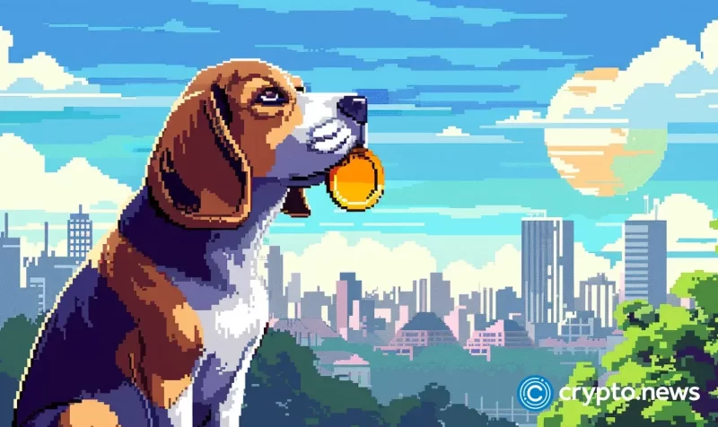 playdoge-ico-enters-final-5-days;-set-to-become-the-next-big-memecoin