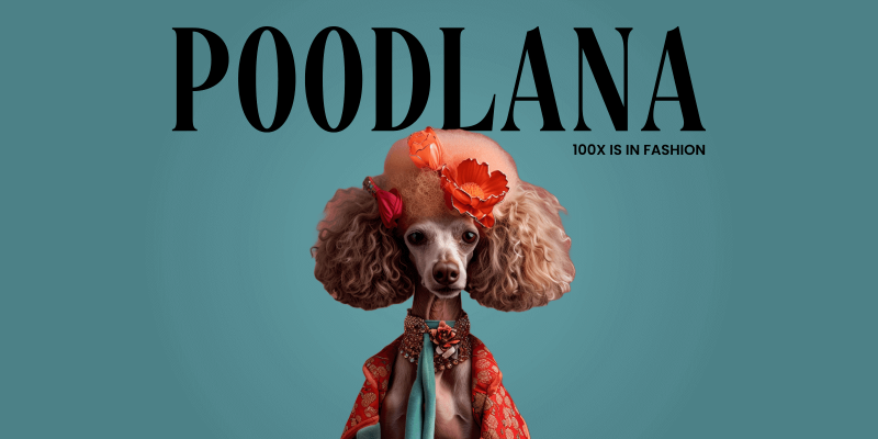 superrare-(rare)-soars-187%-with-poodlana-poised-to-skyrocket-with-exchange-listing