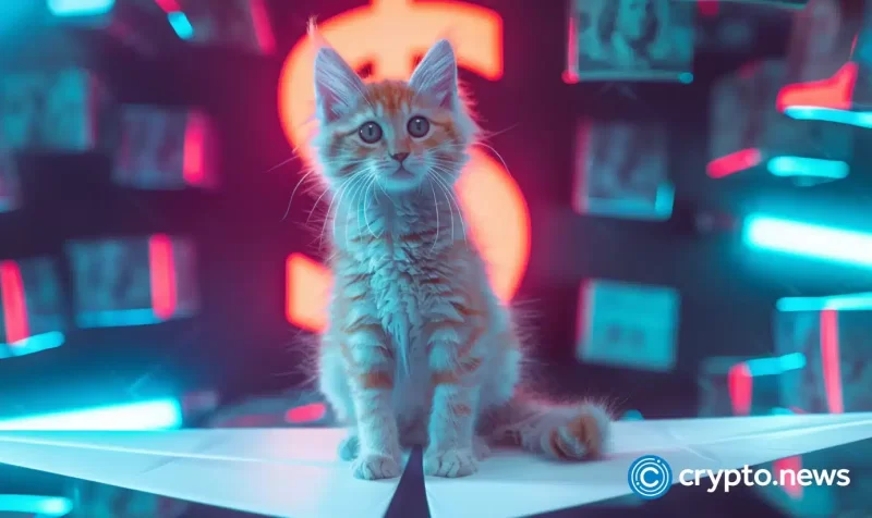 popcat-surges-30%-amid-binance-news,-massive-whale-buy