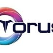 toruschain-launches-the-world’s-first-gasless-layer-1-blockchain