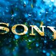 sony-group-takes-plunge-into-web3-with-new-ethereum-layer-2-network-soneium