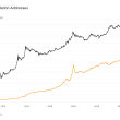 bitcoin-accumulation-addresses-see-steady-rise