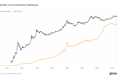 bitcoin-accumulation-addresses-see-steady-rise