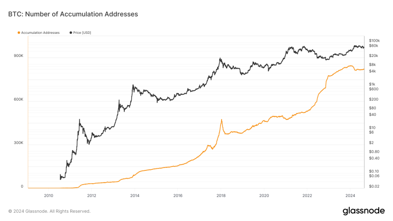 bitcoin-accumulation-addresses-see-steady-rise