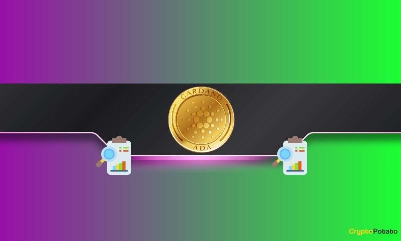 cardano-founder-charles-hoskinson-speaks-up-on-which-is-the-best-blockchain-for-ai