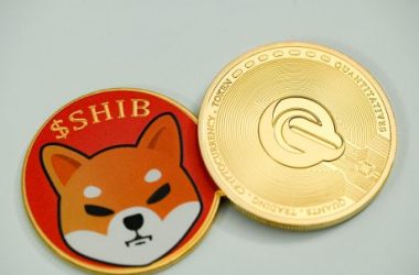 shiba-inu-breaks-above-trendline:-can-the-bulls-drive-shib-to-$0.00002045?