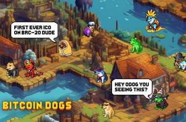 bitcoin-dogs-(0dog)-pulls-back-as-market-loses-steam,-but-there-is-a-catch