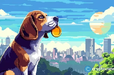 excitement-builds-as-playdoge-launches-on-exchanges-tomorrow