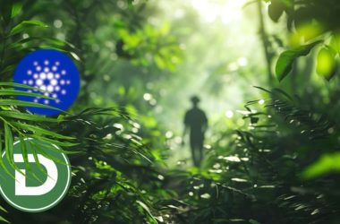dtx-exchange-stays-strong-against-market-crash-while-cardano-and-fantom-(ftm)-traders-lose-millions