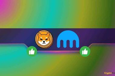 this-popular-crypto-exchange-extends-support-for-shiba-inu-(shib):-details