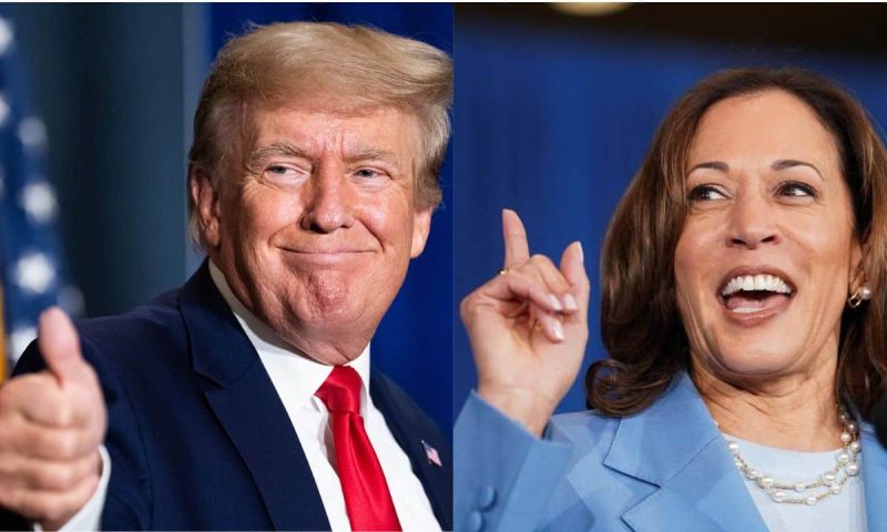 political-themed-tokens-surged-780%-this-year,-outperforming-meme-coins 