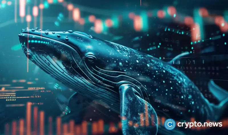 whale-buys-2,000-bitcoin-in-4-days,-now-holds-$490m-in-btc