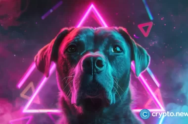 dogs-token-suffers-a-harsh-reversal,-market-cap-falls-$300m
