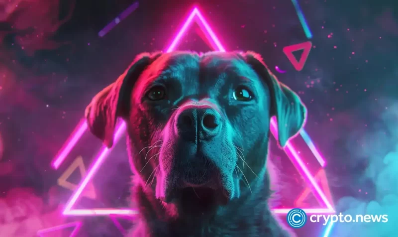 dogs-token-suffers-a-harsh-reversal,-market-cap-falls-$300m